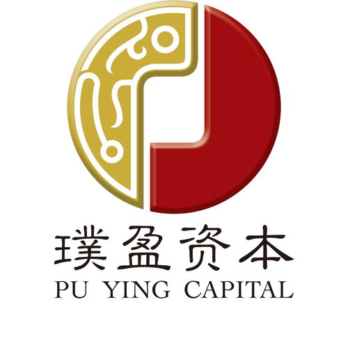 上海璞盈投資管理 企業管理之道與投資策略融合